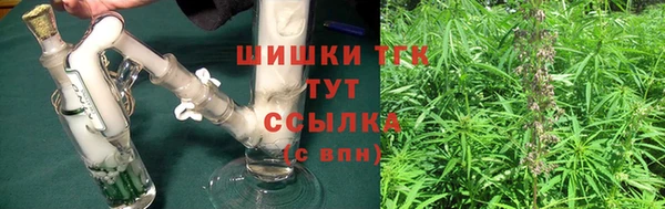 PSILOCYBIN Аркадак