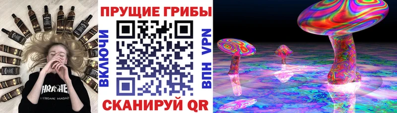 гидра ссылка  Сарапул  Псилоцибиновые грибы мухоморы 